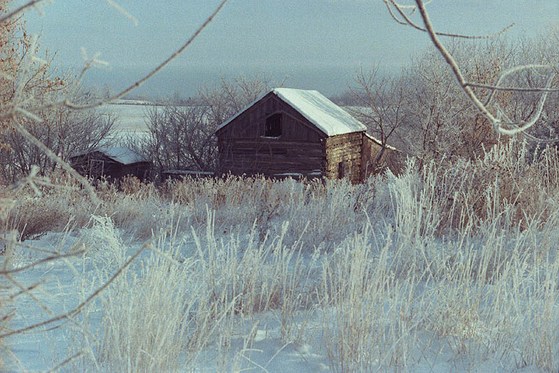 1803 Log Cabin, Hockley Valley, Ontario