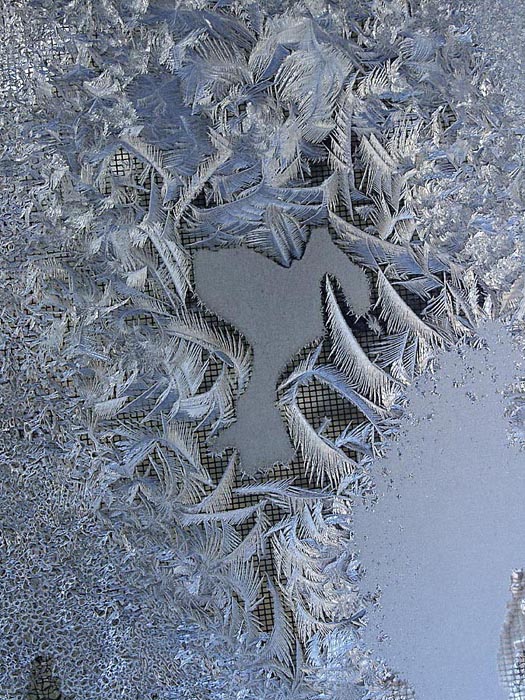 Frost on window, Waterloo, Canada